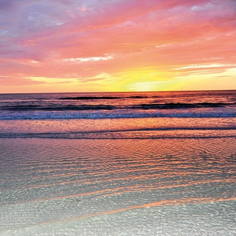 Beach and Tropical