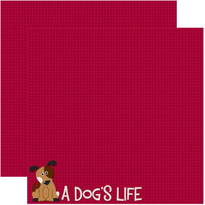 Dogs, Cats & Pets