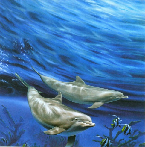 SeaWorld