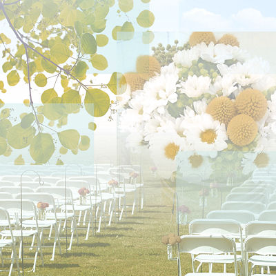 Wedding Scrapbooking
