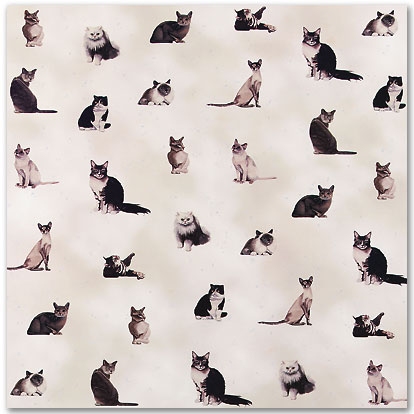 Cats and Kittens Scrapbooking paper stickers and e