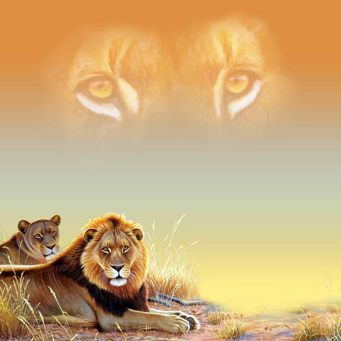 Animals - Zoo & Safari