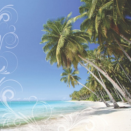 Beach & Tropical