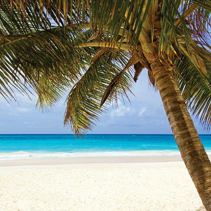 Caribbean