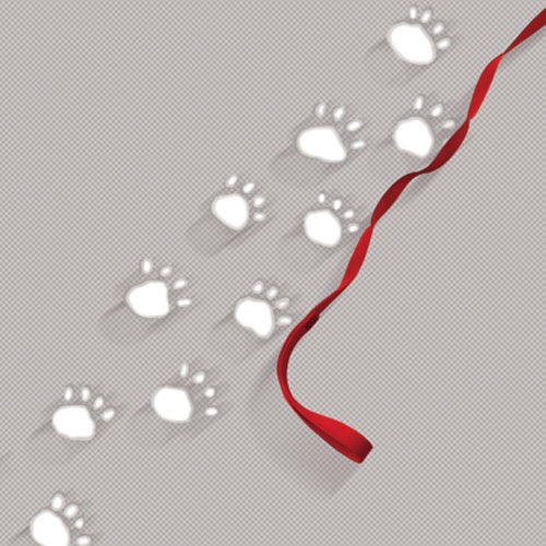 Dogs & Cats