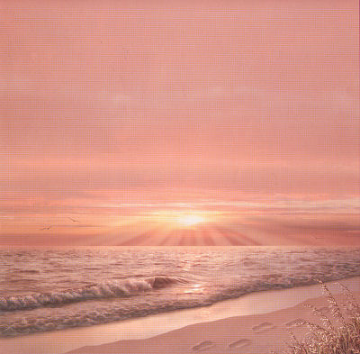 Beach & Tropical