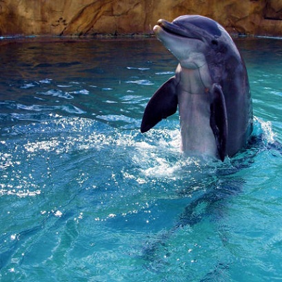 SeaWorld