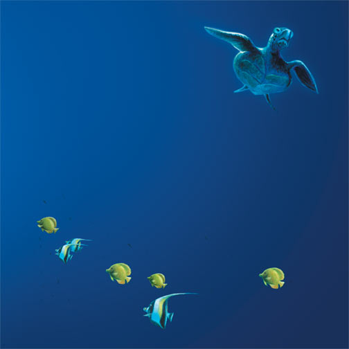Turtle Reef - 12x12 Scrapbooking Paper