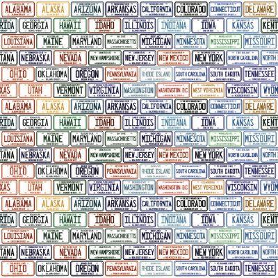 License to Travel - 12x12 Scrapbooking Paper