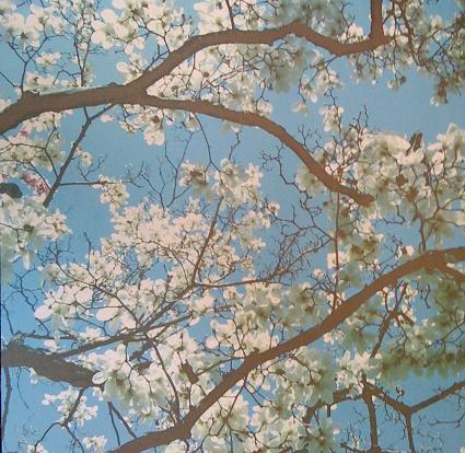 White Blossom - 12x12 Scrapbooking Paper