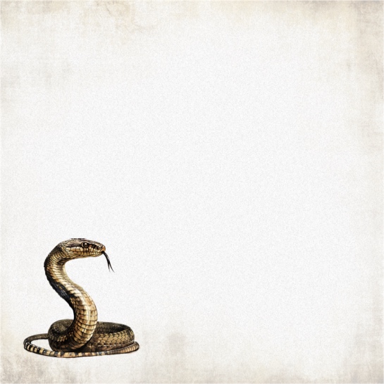 Snake 12x12 Scrapbooking Paper