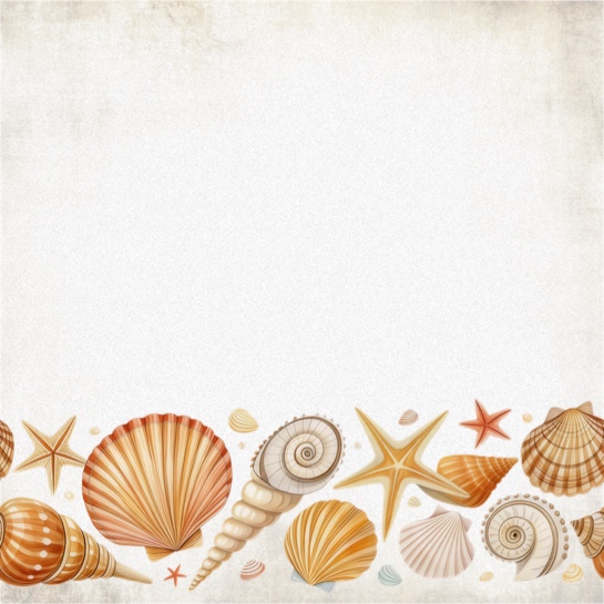 Shells One 12x12 Scrapbooking Paper