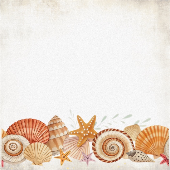 Shells Two 12x12 Scrapbooking Paper