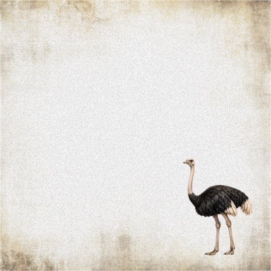 Ostrich 12x12 Scrapbooking Paper