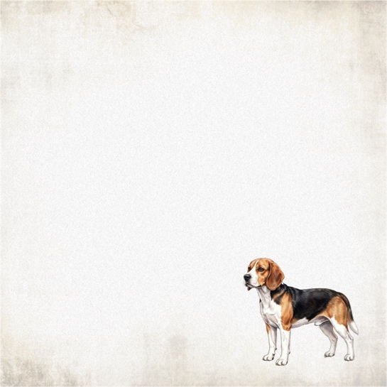 Beagle 12x12 Scrapbooking Paper