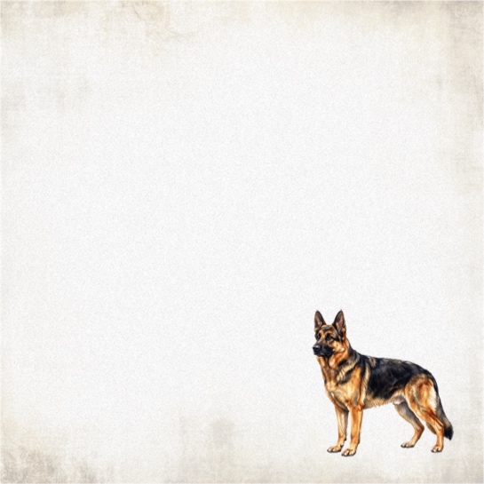 German Shepherd 12x12 Scrapbooking Paper