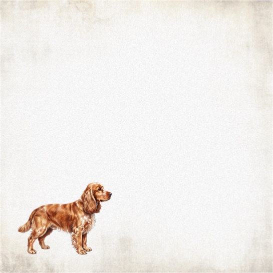 Cocker Spaniel 12x12 Scrapbooking Paper
