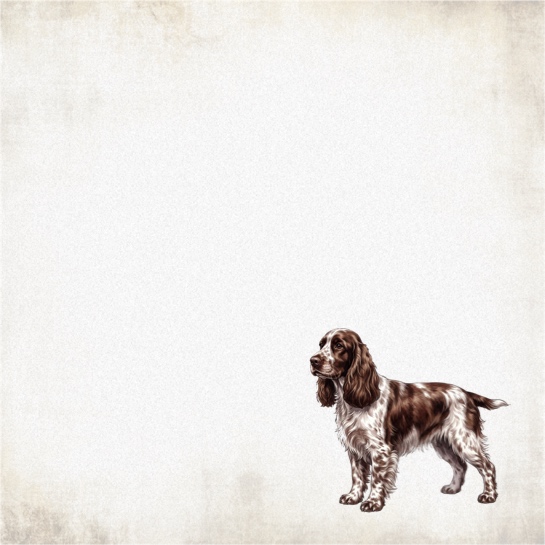 English Springer Spaniel 12x12 Scrapbooking Paper