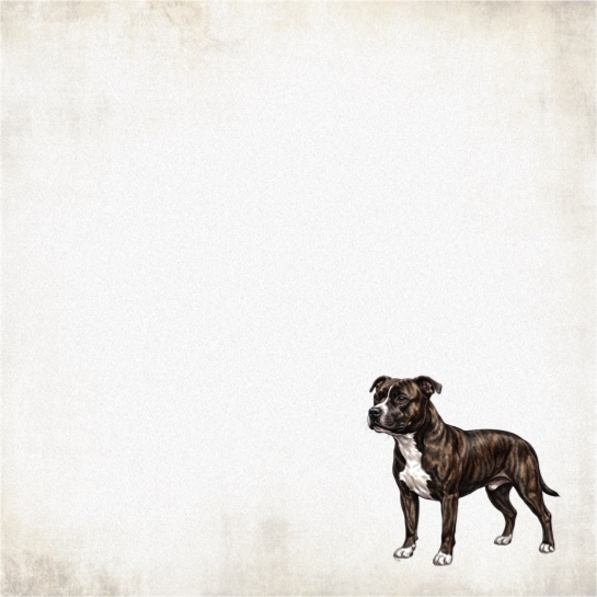 Staffordshire Bull Terrier 12x12 Scrapbooking Paper