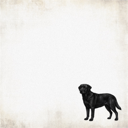 Black Labrador 12x12 Scrapbooking Paper