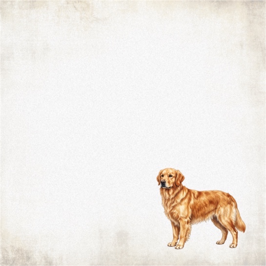 Golden Retriever 12x12 Scrapbooking Paper