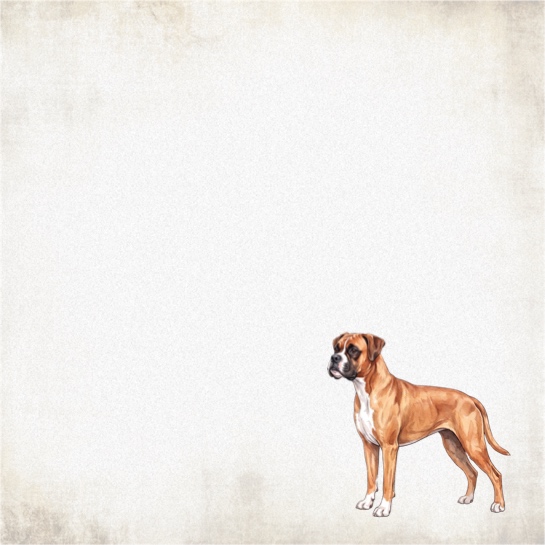 Boxer Dog 12x12 Scrapbooking Paper