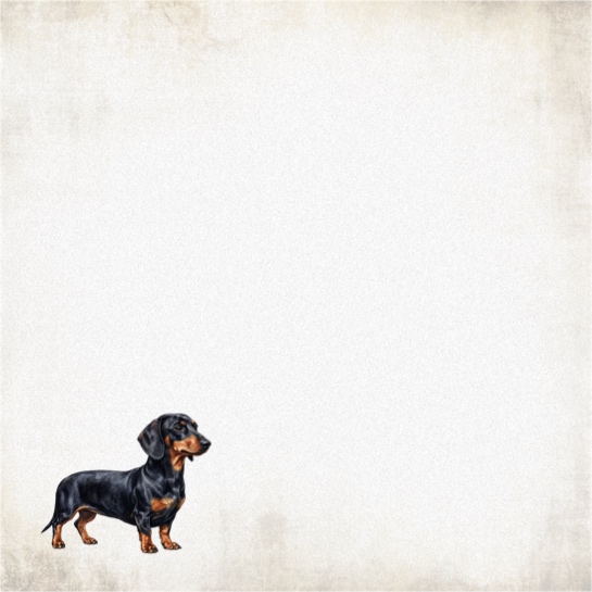 Dachshund 12x12 Scrapbooking Paper