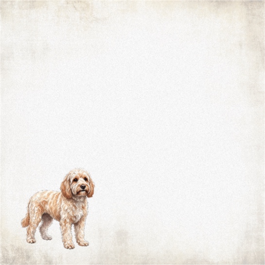 Cockapoo 12x12 Scrapbooking Paper