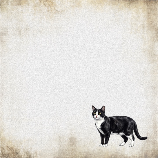 Black and White Cat 12x12 Scrapbooking Paper