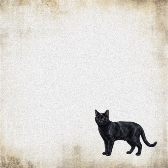 Black Cat 12x12 Scrapbooking Paper