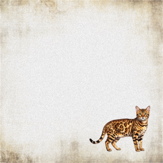 Bengal Cat 12x12 Scrapbooking Paper
