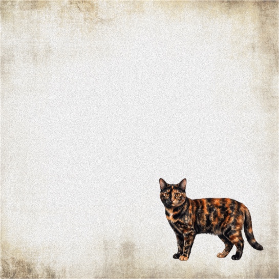 Tortoiseshell Cat 12x12 Scrapbooking Paper