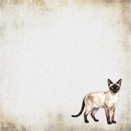 Siamese Cat 12x12 Scrapbooking Paper