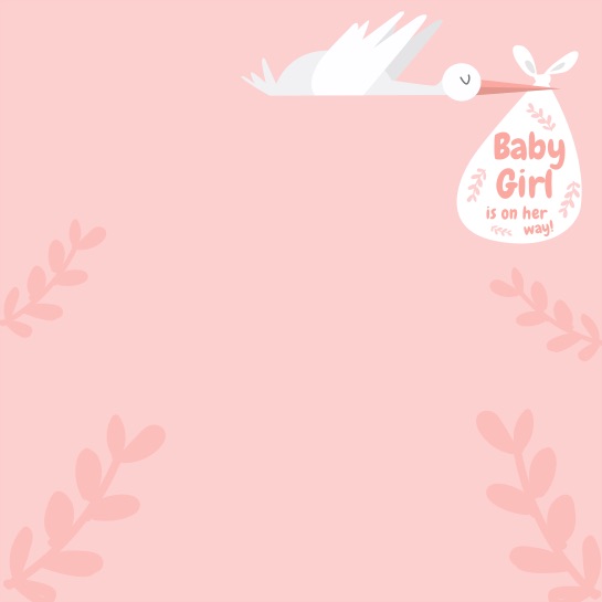 Baby Girl Stork 12x12 Scrapbooking Paper