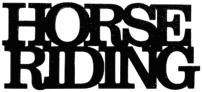 Horse essay topics picture