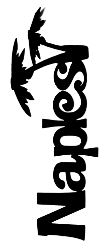 Naples Scrapbooking Laser Cut Title with Palms