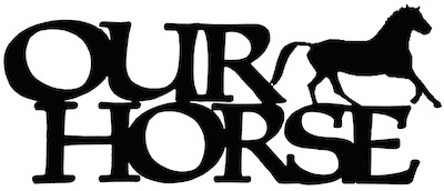 Equine hot topics picture