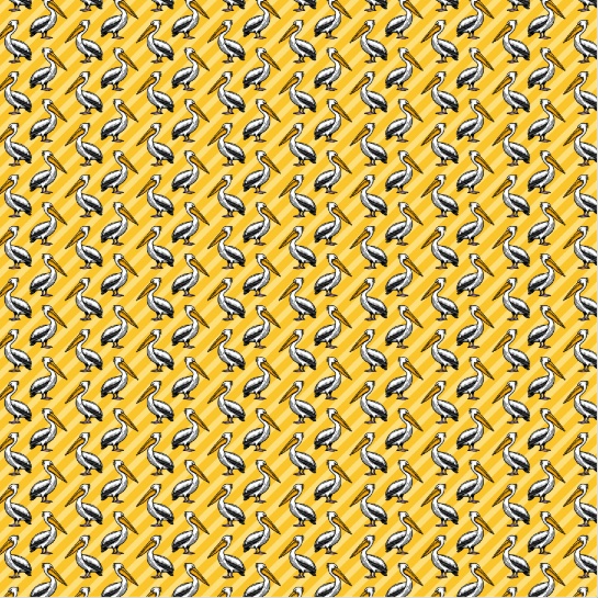 Pelicans 12x12 Scrapbooking Paper