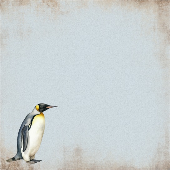 Penguin 12x12 Scrapbooking Paper