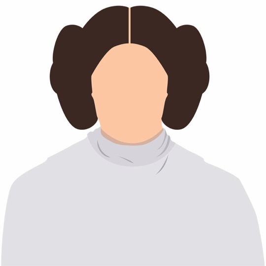 Princess Leia Star Wars 12x12 Scrapbooking Paper