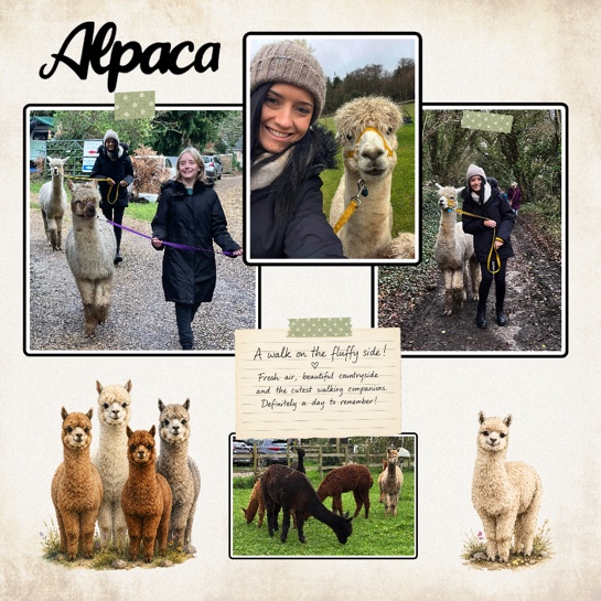 Alpaca Scrapbook Page