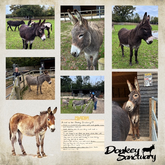 Donkey Sanctuary Scrapbooking Page