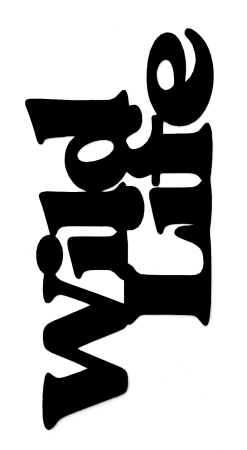 Wild Life Scrapbooking Laser Cut Title